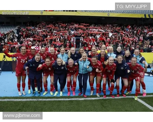 2018年瑞典与丹麦精彩对决全场录像回放及精彩瞬间分析 2018年瑞典与丹麦精彩对决全场录像回放及精彩瞬间分析